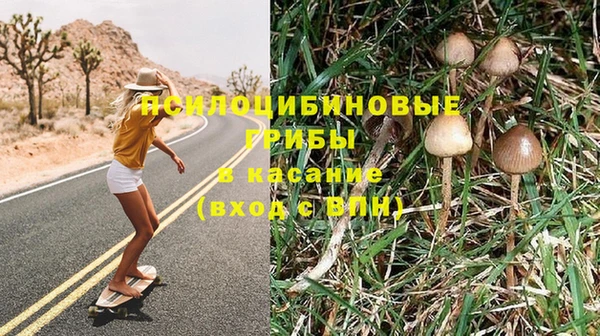 MESCALINE Алзамай